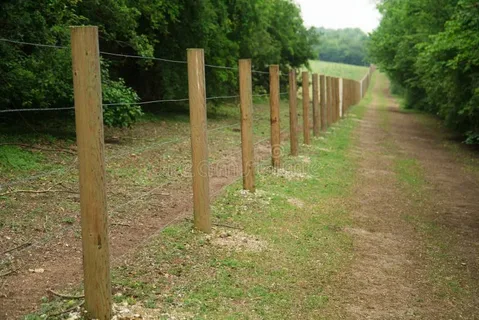 How Deep Should a Fence Post Be? Tips from the Pros