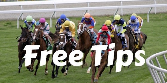 Betting on Horse Racing: A Beginner’s Guide to the Track